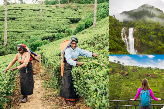 Nuwara Eliya, Central Province, Sri Lanka